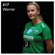 17_werner