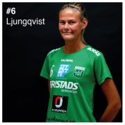 6_ljungqvist