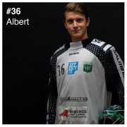 36_albert