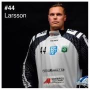 44_larsson