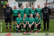 Fristad GoIF F-03_2_sponsor