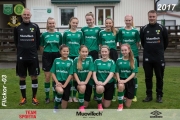 Fristad GoIF F-03_2_sponsor_web
